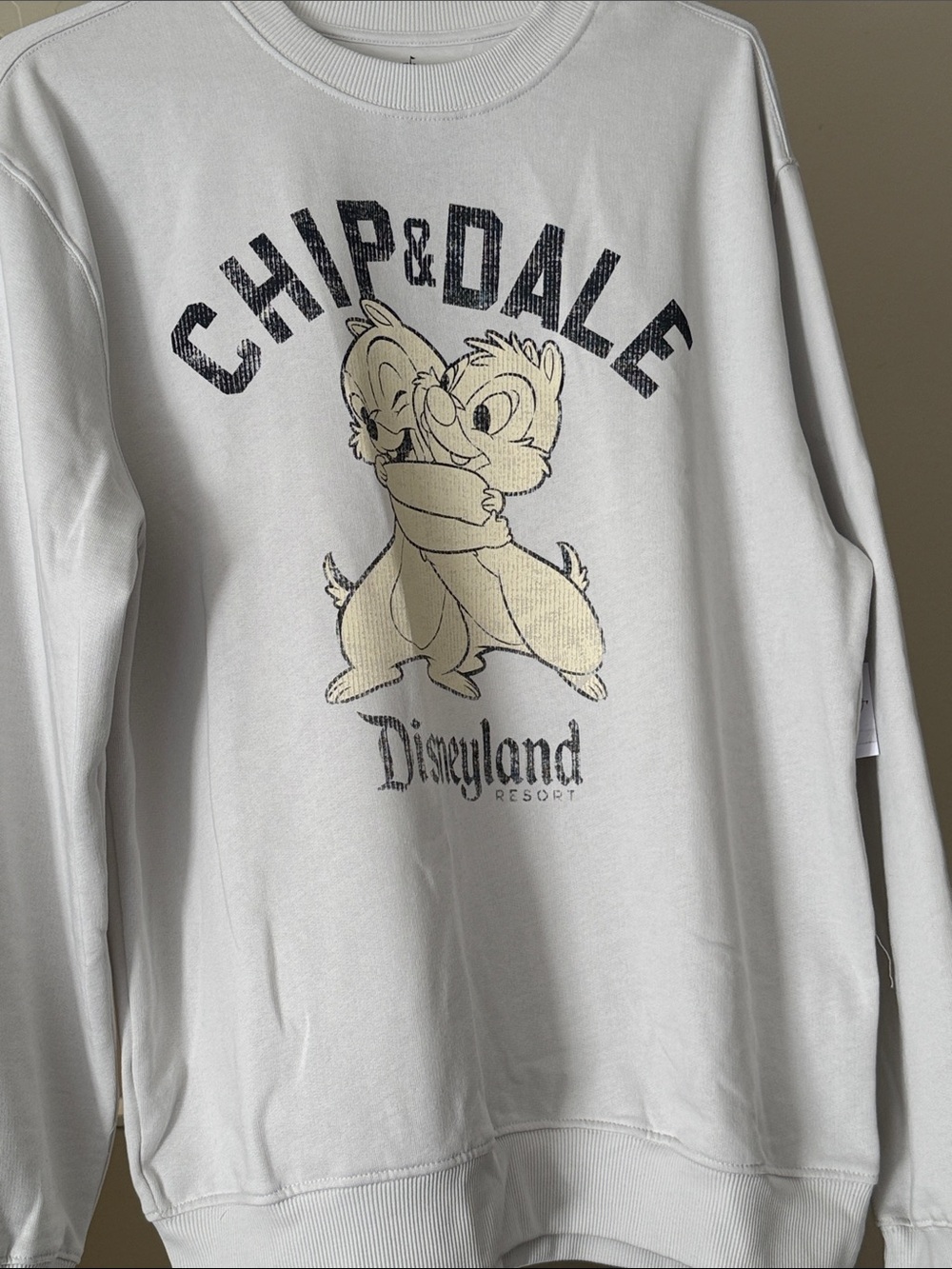 Disney Chip & Dale White Sweatshirt with Beige Characters